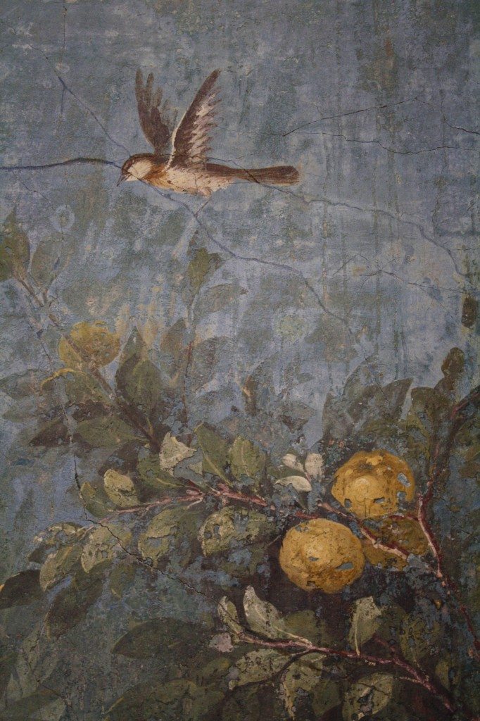 A detail of the garden fresco from the winter triclinium (dining room) from the Villa of Livia, wife of Augustus, Rome. The life-size representations of trees, flowers, fruit and birds decorate all four walls of the room to create a continuous and 360° view of a garden which adds perspective by increasing clarity in the foreground subjects. (Palazzo Massimo, Rome).