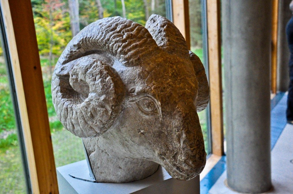 Limestone head of a ram. Chinese, Tang Dynasty, 618-907 CE. 