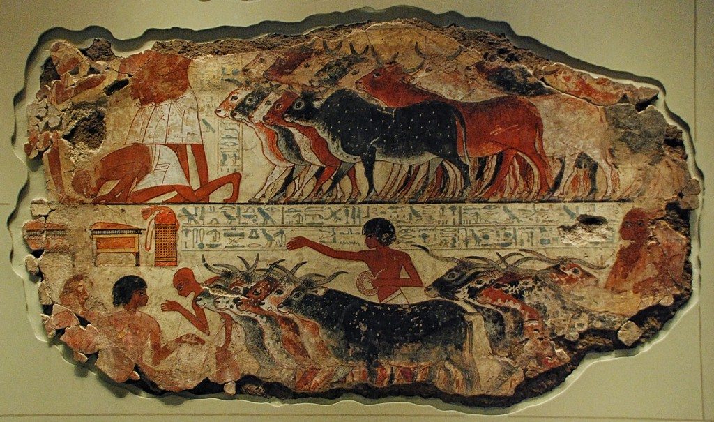 Nebamun is inspecting cattle and geese. Farmers bring their animals to him and his scribes record their number.