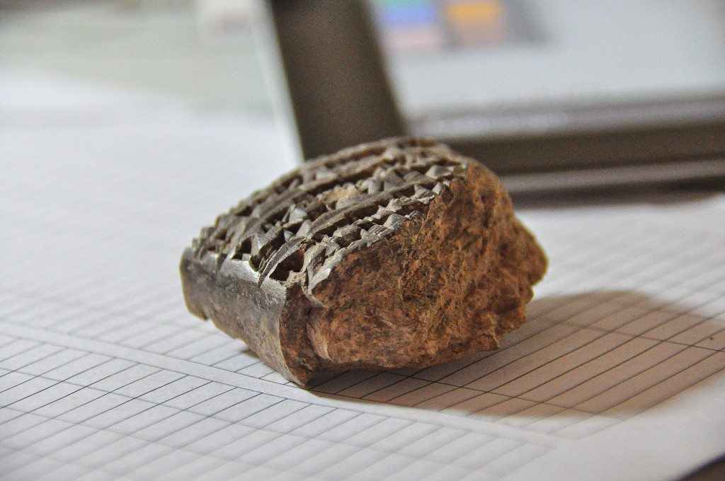 A clay cuneiform tablet which was found recently. in Bakr Awa