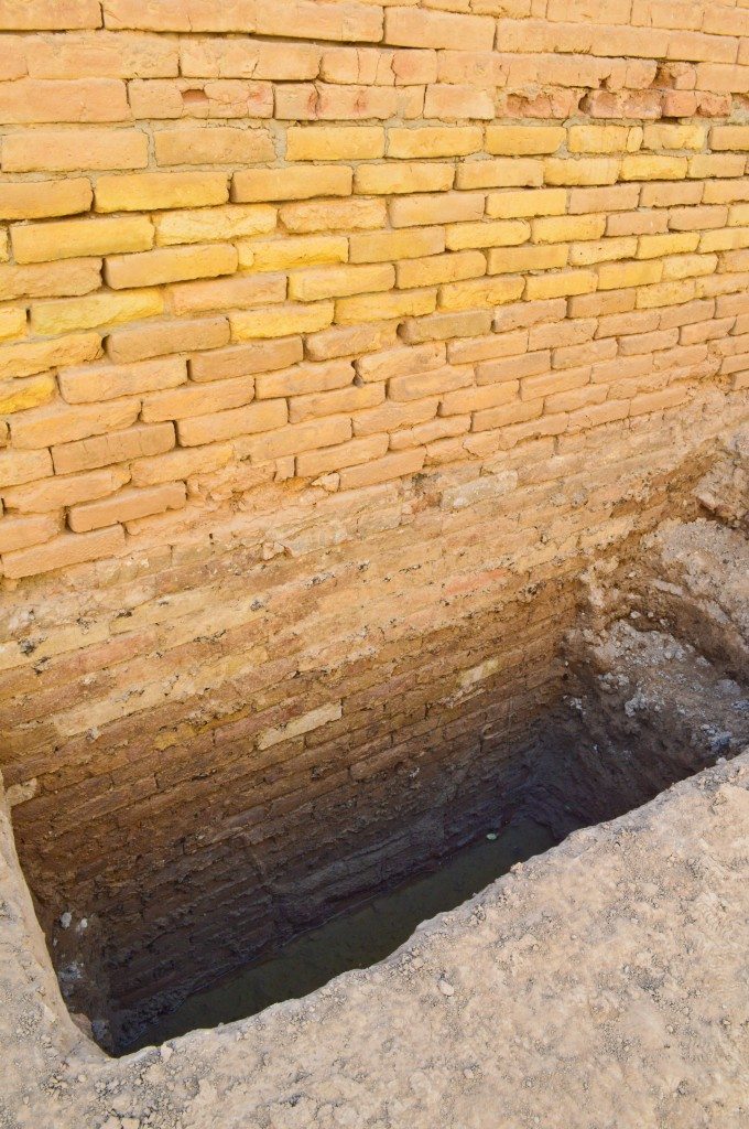 Part of the floor adjacent to a wall at the Processional Street was removed and a Sirrush (Mušḫuššu) was uncovered. During the 1980s, former president Saddam Hussein ordered the renovation and reconstruction of the ancient city of Babylon. Workers who participated in this campaign said that almost 5 meters of the original walls and foundations were buried! 