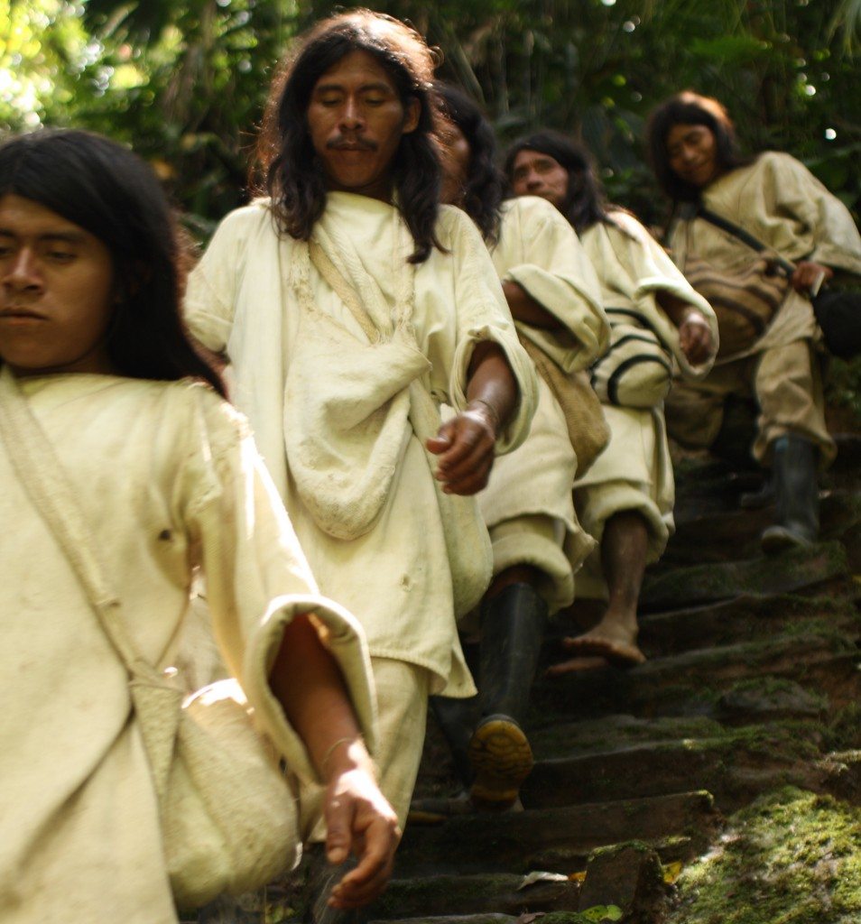 Kogi -- an indigenous ethnic group that lives in the Sierra Nevada de Santa Marta in Colombia -- walking down the stairs in a special ceremony at Ciudad Perdida in Colombia. (Courtesy of GHF.)