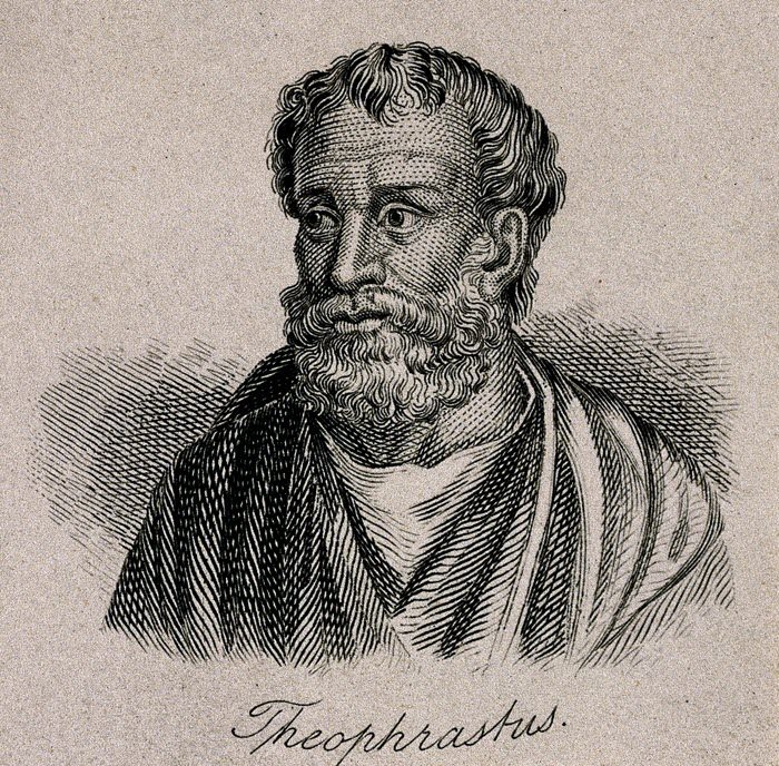 Theophrastus first botanist in the written history