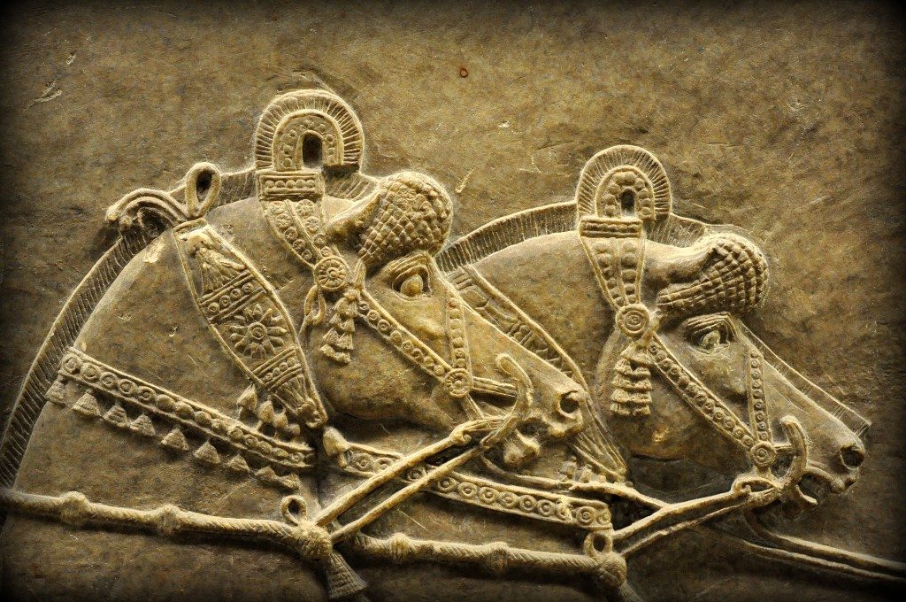 Detail of an alabaster bas-relief showing Ashurbanipal's horses. This is part of the above image. Note how beautiful and elegant they are! From Room S of the North Palace, Nineveh (modern-day Kouyunjik, Mosul Governorate), Mesopotamia, Iraq. Circa 645-535 BCE. The British Museum, London. Photo©Osama S.M. Amin.