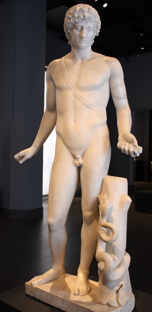 A marble statue of Apollo showing his familiar attributes of a quiver slung over his shoulder, the snake, and the laurel. From an imperial villa in Rome. 2nd century CE classicizing copy of a 4th century BCE Greek original. (Palazzo Massimo, Rome)
