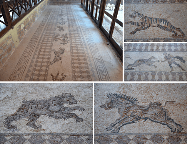 The Hunting Scene mosaic in the House of Dionysus, late 2nd/early 3rd century AD, Paphos Archaeological Park