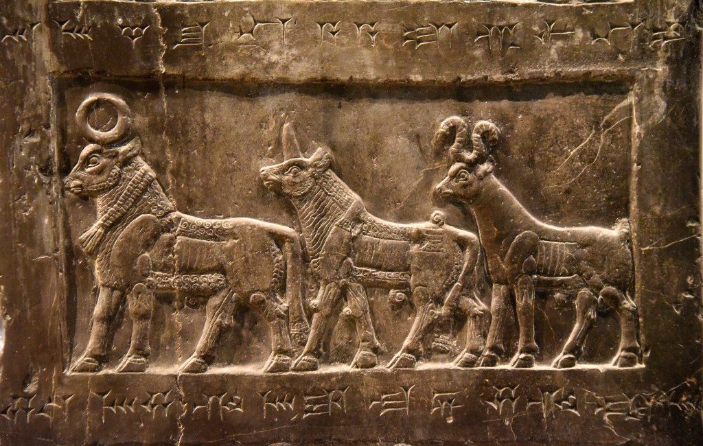 Side B: This register depicts exotic animals from Musri in the form of a river-ox, a rhinoceros (and) an antelope. Photo © Osama S. M. Amin. Black Obelisk of Shalmaneser III.
