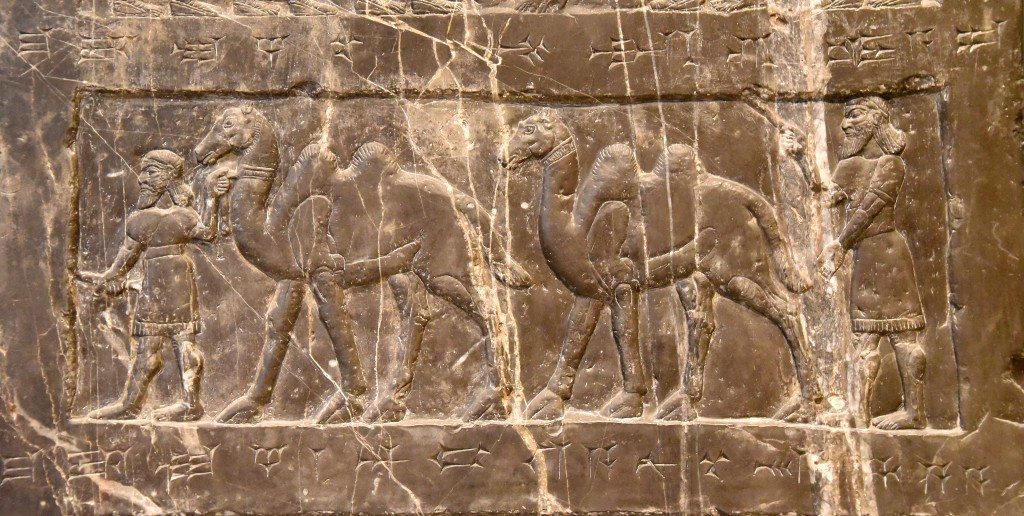 Side A: Attendants bring tribute from Muṣri in the form of two-humped camels. Unlike the upper tregisters, neither Shalmaneser III nor the subdued ruler appear. Photo © Osama S. M. Amin. Black Obelisk of Shalmaneser III.