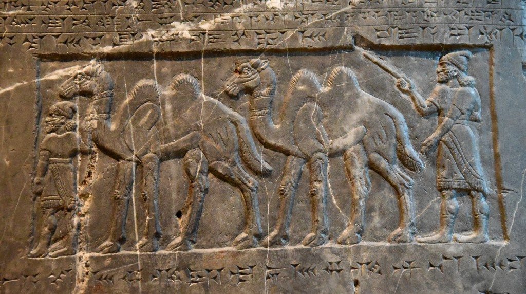 Side C: Two attendants bring two-humped (Bactrian) camels from Gilzanu. Photo © Osama S. M. Amin. Black Obelisk of Shalmaneser III.