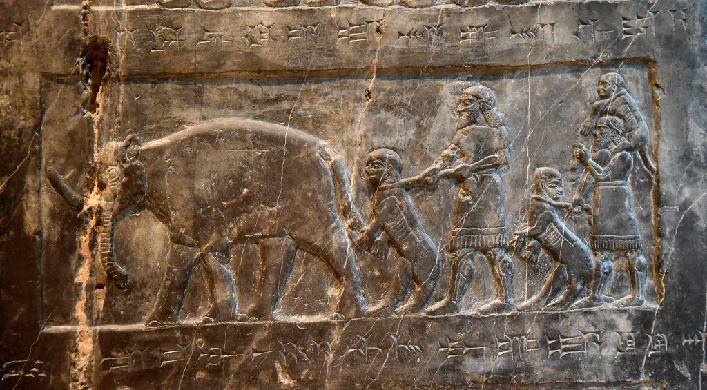 Side C: There are female elephants, female monkeys (and) apes. Photo © Osama S. M. Amin. Black Obelisk of Shalmaneser III.