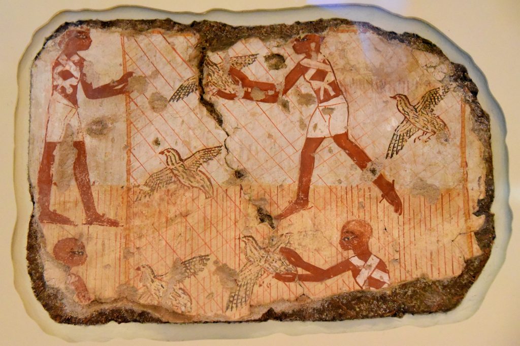 This fragment on load from Berlin shows men in a filed catching quails ina net. It is thought that Nebamun's tomb-chapel lies at Dra Abu el-Naga becasue this fragment was found there in 1890. Photo © Osama S. M. Amin. 