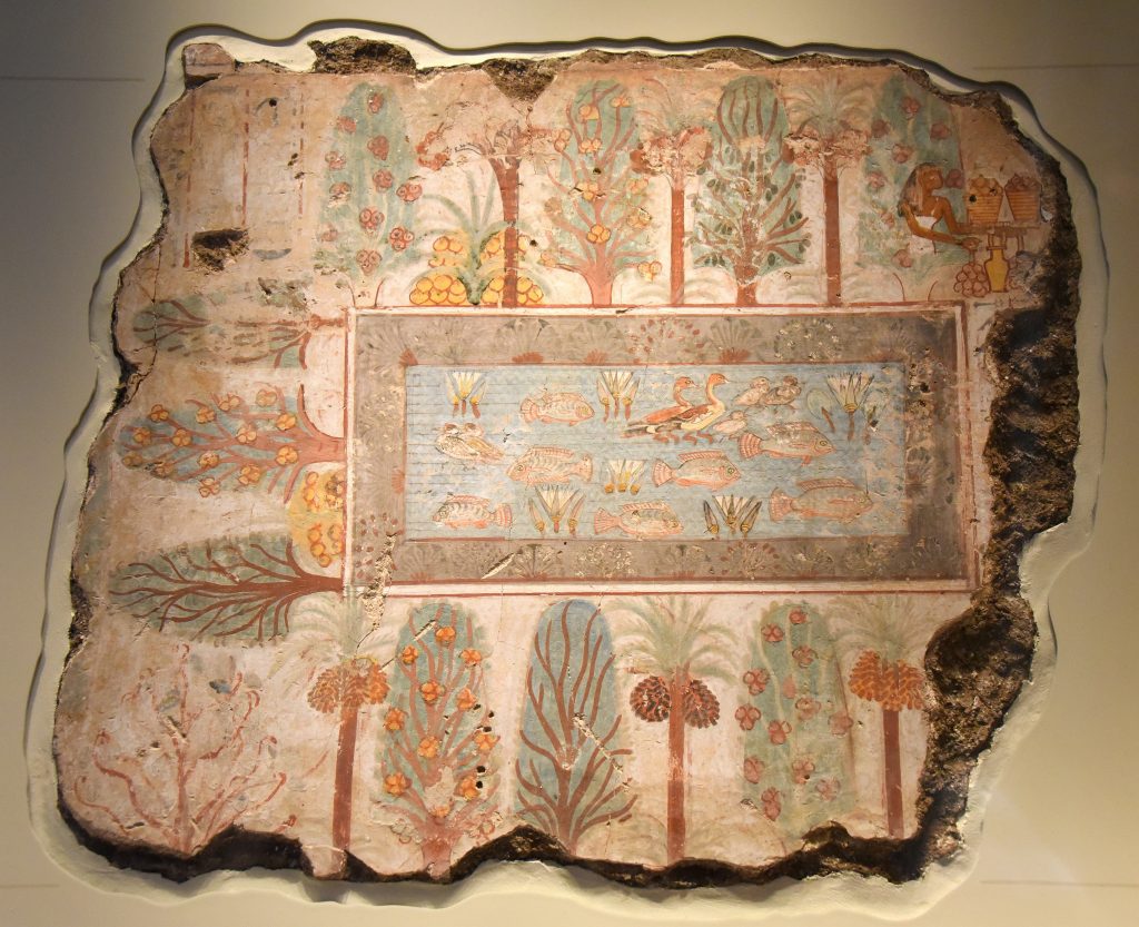 Nebamun's garden in the afterlife is like the erathly gardens of the wealthy in ancient Egypt. The pool is full of birds and fish, surrounded by borders of flowers and rows of trees. The fruit trees include sycomore-figs, date-palms, and dom-palms; the dates are shown in different stages of ripeness. On the right of the painting, the goddess Nut, leans out of a tree, and offers sycomore-figs to Nebamun (now lost). On the left of the pool, a sycomore-fig tree speeks and greets Nebamun as te owner of the garden; her words are recorded in hieroglyphs. Photo © Osama S. M. Amin. 