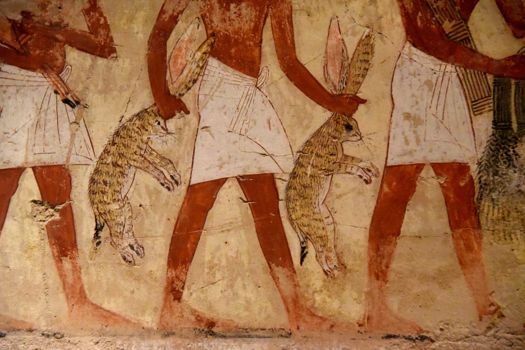 The servant on middle holds 2 desert hares. The animals have wonderfully textured fur and long whiskers. The superb draftsmanship and composition make this standard scene very fresh and lively. The artists have even varied the servants' simple clothes. With one of these kilts, the artist changed his mind and painted a different set of folds over his first version, which is visible through the white paint. The British Museum, London. Photo © Osama S. M. Amin.