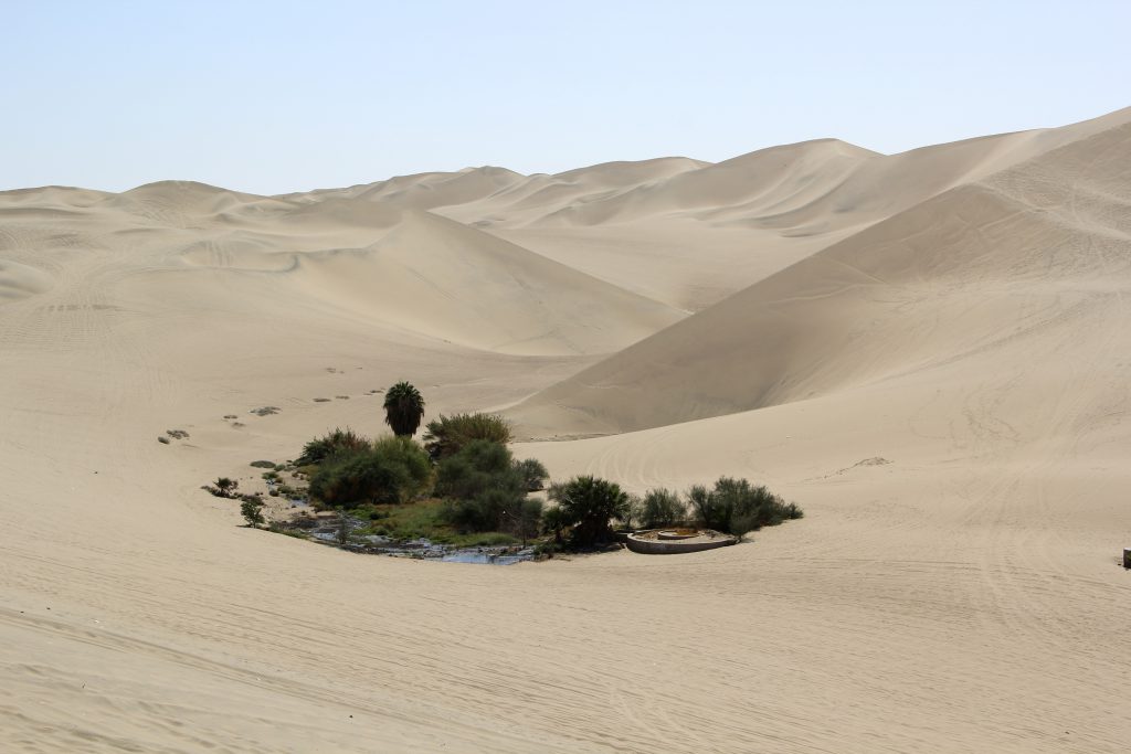 A small desert oasis located near the town of Huacachina. This part of the coastal desert has sand dunes that resemble those of the Sahara. Image © Caroline Cervera. Nazca lines