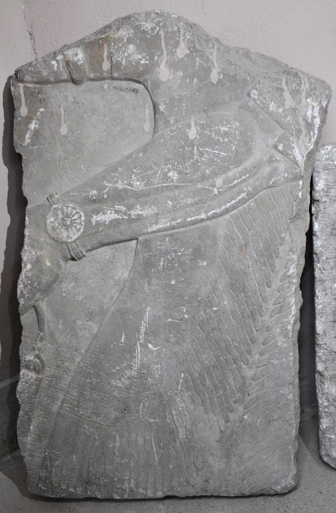 Fragment of a gypsum wall relief from the North-West Palace of Ashurnasirpal II. What has survived is part of a torso of an Apkallu. There is a bracelet on his left wrist. his hand holds a bucket (extreme left). Note the musculature of the forearm. Not on display. Exclusive photo; never-before-published. The Sulaymaniyah Museum, Iraqi Kurdistan. Photo © Osama S. M. Amin. 