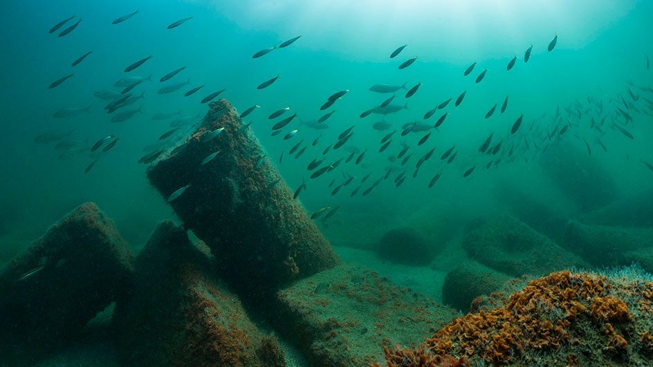 The ruins of Canopus were discovered in Aboukir Bay, 2km east of the western fringe of the Nile Delta. Photo by Christoph Gerigk; © Franck Goddio/Hilti Foundation. Sunken Cities exhibition. 